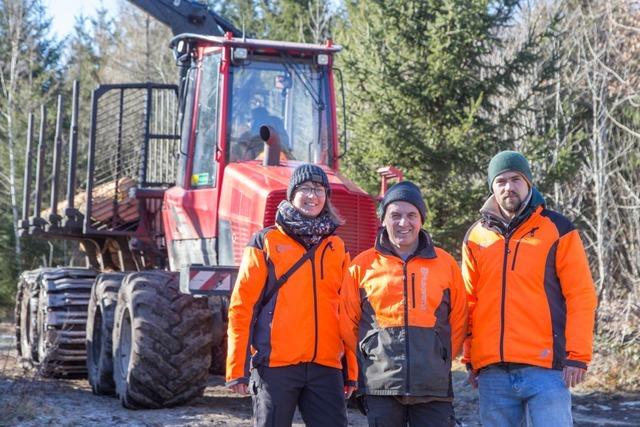 So luft die Erntezeit im Fichtenwald im Hochschwarzwald