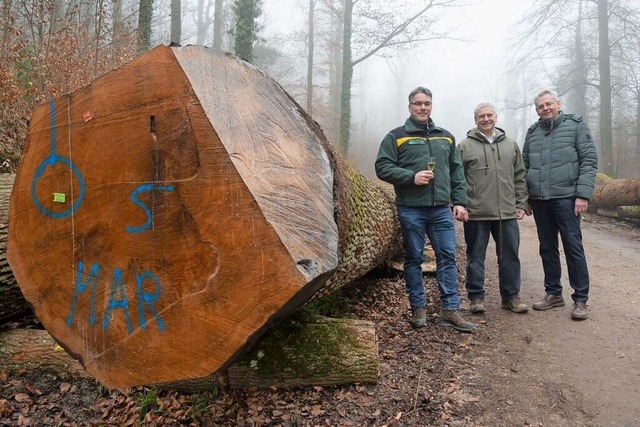 Forstdirektor Tobias Beigel, Stefan Le...ich ber ein ausgezeichnetes Ergebnis.  | Foto: Volker Mnch