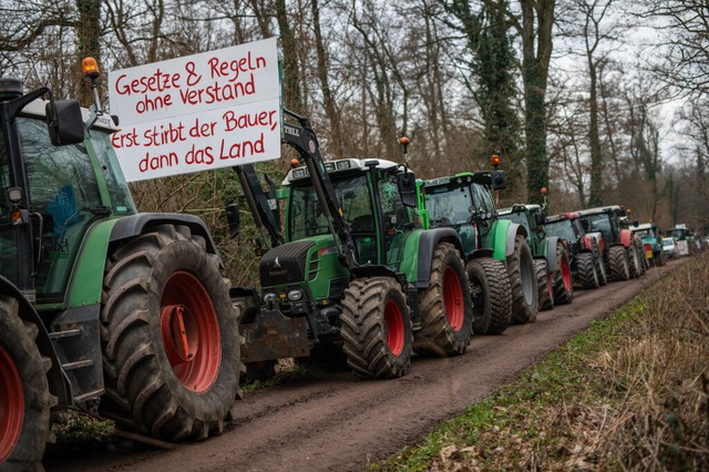 Zuletzt hatten viele Bauern gegen die ... nationaler und EU-Ebene demonstriert.  | Foto: Christoph Schmidt (dpa)