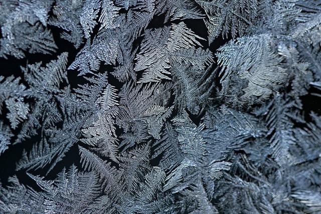 Warum auch bei Klte kaum noch Eisblumen wachsen