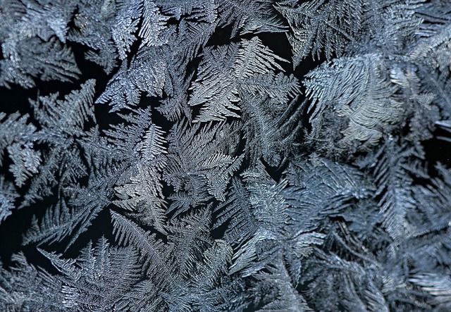 H&auml;ufig sehen Eisblumen wie Farnbl&auml;tter aus. (Archivbild)  | Foto: Patrick Pleul/dpa-Zentralbild/dpa