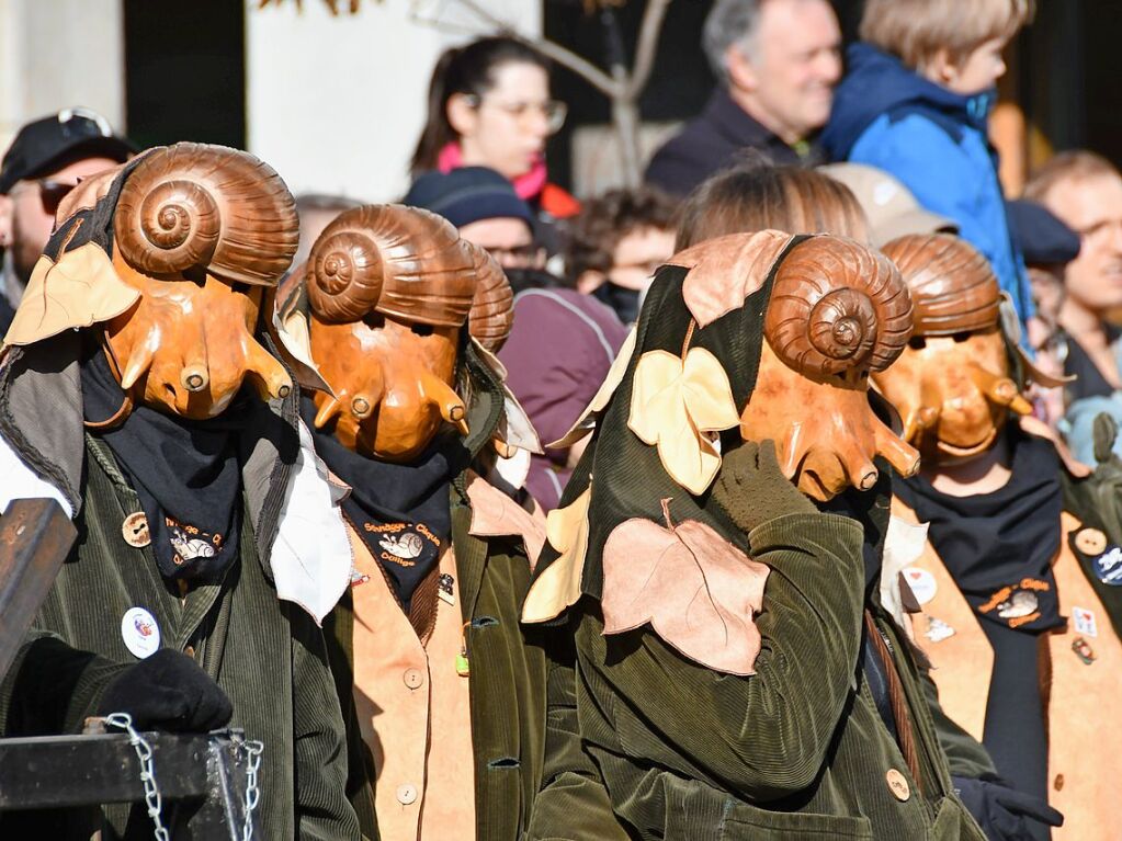 Impressionen vom Narrenbaumstellen in Lrrach