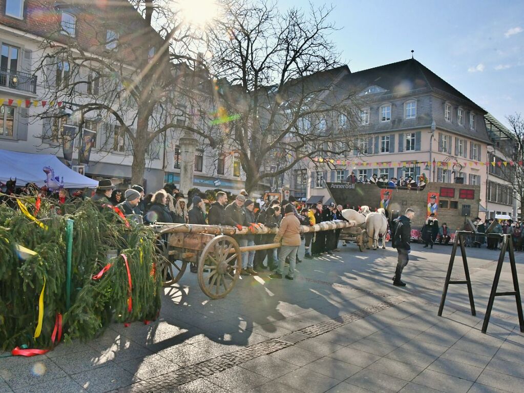 Impressionen vom Narrenbaumstellen in Lrrach