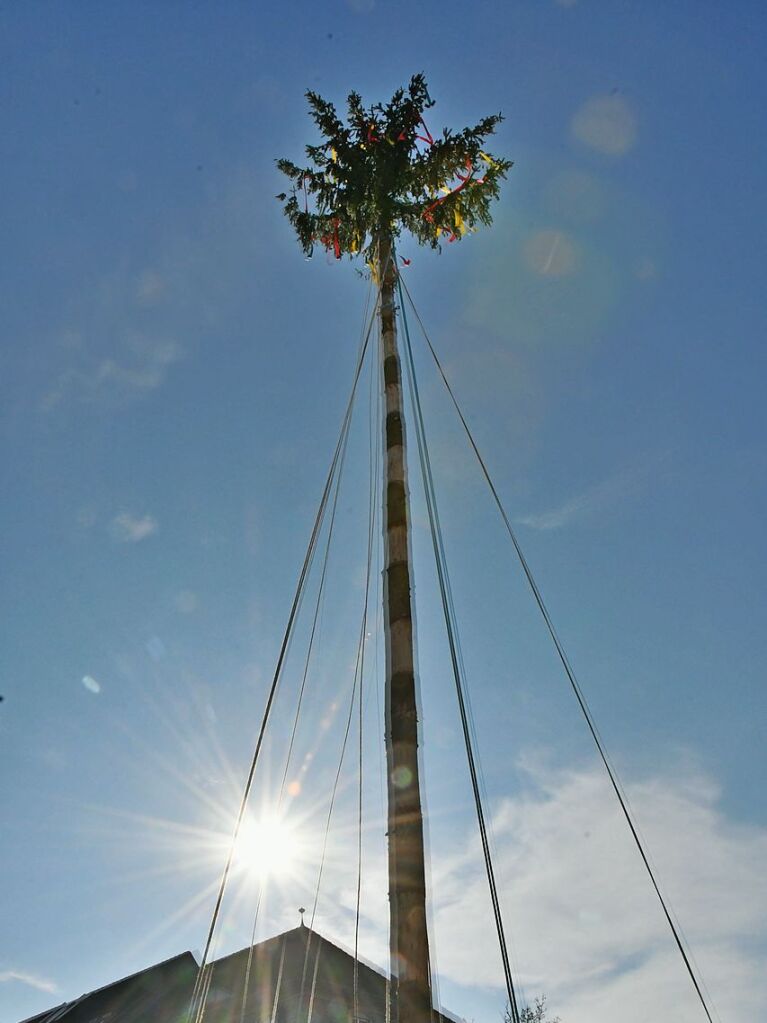 Impressionen vom Narrenbaumstellen in Lrrach