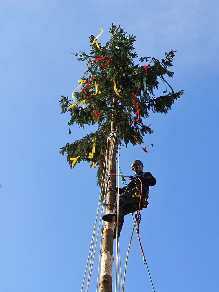 Impressionen vom Narrenbaumstellen in Lrrach