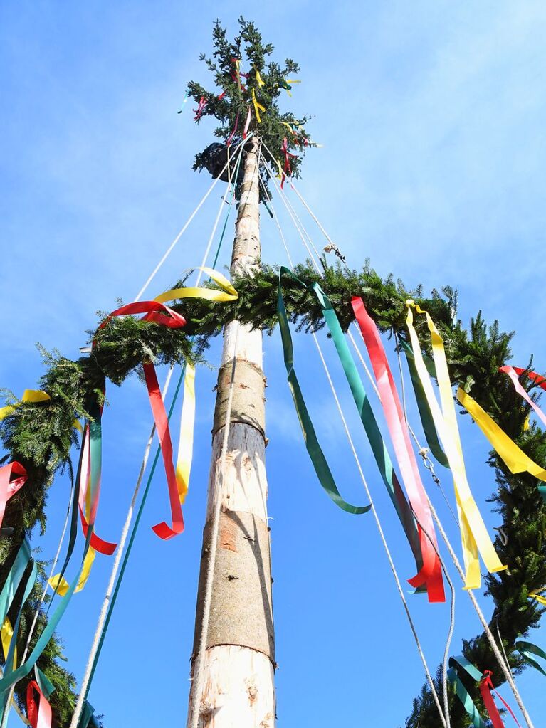 Impressionen vom Narrenbaumstellen in Lrrach