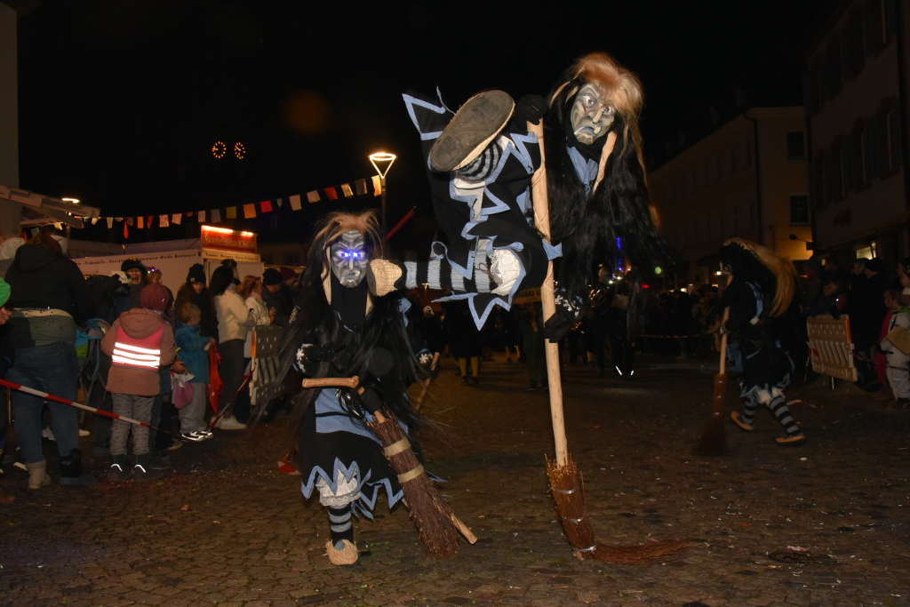 Frhlich zogen ber 80 Znfte, Fanfarenzge, Gugge-Musik- und Fasnachtsgruppen durch die Emmendinger Altstadt.