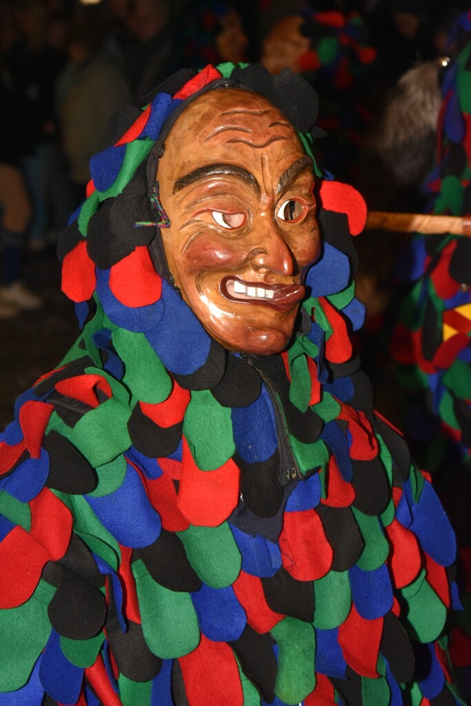 Frhlich zogen ber 80 Znfte, Fanfarenzge, Gugge-Musik- und Fasnachtsgruppen durch die Emmendinger Altstadt.