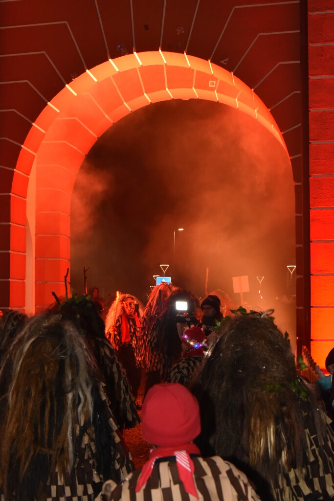 Frhlich zogen ber 80 Znfte, Fanfarenzge, Gugge-Musik- und Fasnachtsgruppen durch die Emmendinger Altstadt.