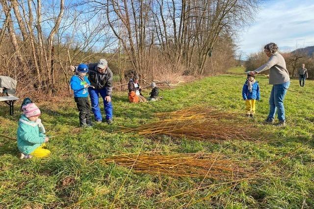 Kinder und Groeltern schneiden bei BUND-Aktion in Schliengen Weiden