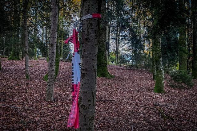 Erneut gibt es  Kritik am Urteil im Prozess um die zerstckelte Leiche aus Rickenbach