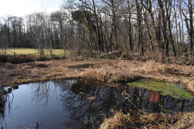 Der Landschaftspark Wiese wchst auf Riehener Gemarkung  weiter