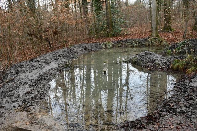 Nach Vandalismus: Ehrenamtliche haben den Froschteich in Grenzach wieder instand gesetzt