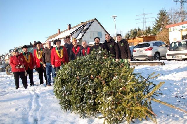 Auf der Murger Mitte wird es in dieser Fasnachtssaison zum ersten Mal einen Narrenbaum geben