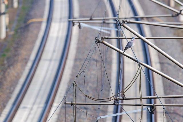 Oberleitungsschaden auf der Rheintalbahn fhrt zu Versptungen und Ausfllen