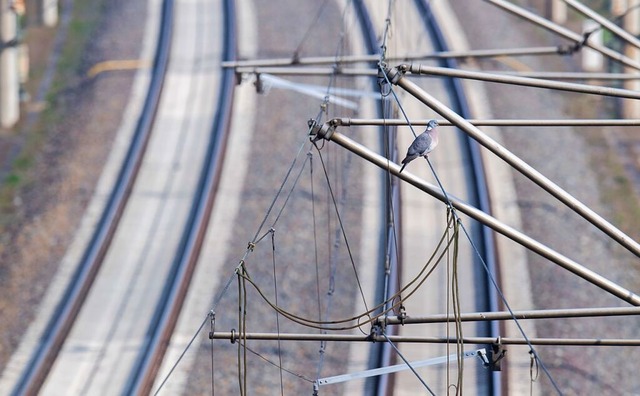 Oberleitungsschaden bei Rastatt (Symbo...t den Zugverkehr auf der Rheintalbahn.  | Foto: Julian Stratenschulte (dpa)