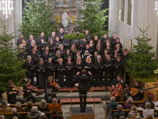 Der Motettenchor Lrrach wird Stcke von Brahms und Mahler vortragen.  | Foto: Martin Schulte-Kellinghaus