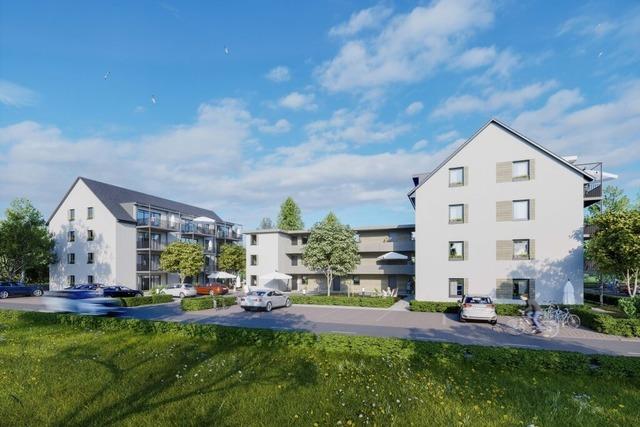 Bauverein Breisgau baut fr 12 Millionen Euro bezahlbaren Wohnraum in Herbolzheim