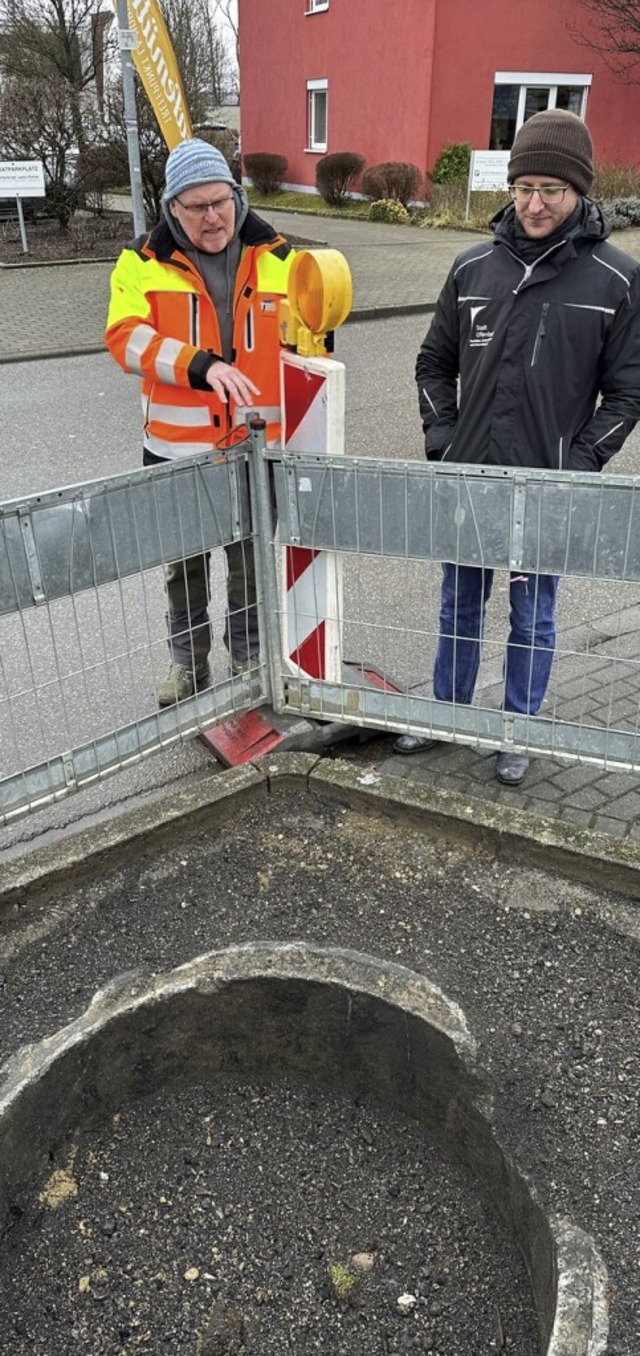 Eingepfercht in Betonringe: So konnte ...tfalten. 24 Bume mssen nun weichen.   | Foto: Helmut Seller