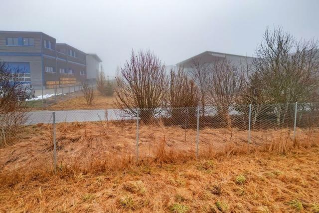 Zwei Firmen in Grafenhausen freuen sich ber Grnes Licht im Gewerbegebiet