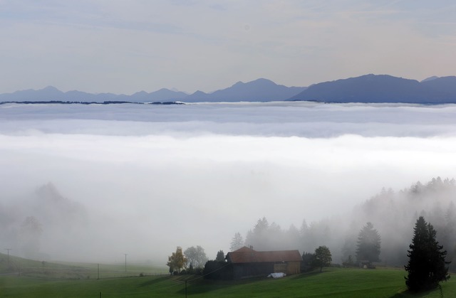 Die neue Realverfilmung von "Heidi" spielt in den Alpen. (Symbolbild)  | Foto: Karl-Josef Hildenbrand/dpa