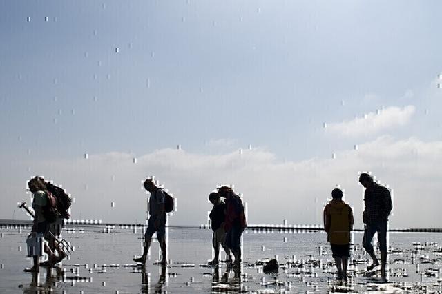 Entdecke das Watt - Gefhrte Wattwanderung im Nordseebad Otterndorf