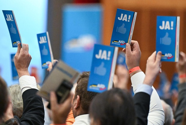 Besucher des Landesparteitags der AfD ... blaue &quot;Ja&quot; Stimmkarte hoch.  | Foto: Bernd Weibrod (dpa)