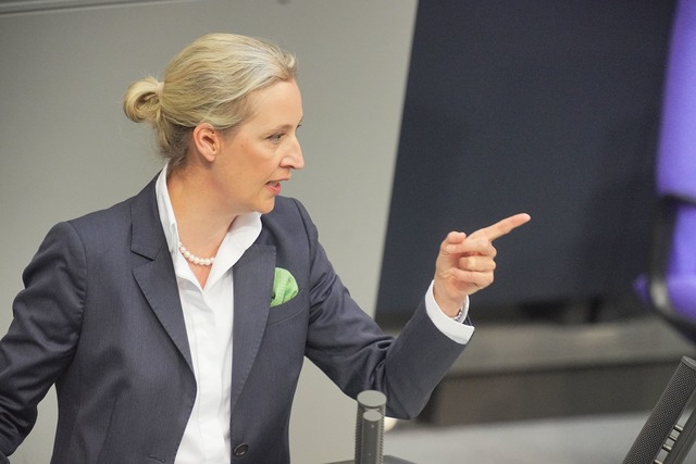 Weidel sieht in Ungarn ein "Bollwerk gegen illegale Migration" (Archivbild).  | Foto: Michael Kappeler/dpa