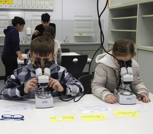 Im Chemieraum durften die Viertklssler selbst mikroskopieren.  | Foto: Herbert Frey