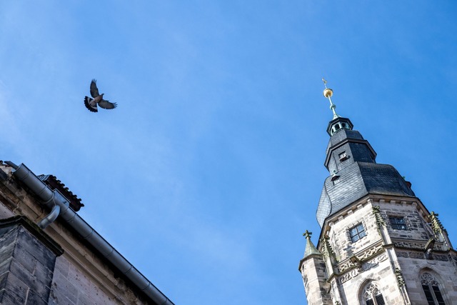 Bayern ohne Kircht&uuml;rme? Nicht vorstellbar. (Symbolbild)  | Foto: Pia Bayer/dpa