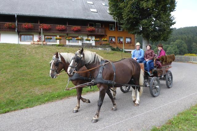 Kutschfahrten Kreuzhof