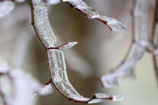 Im Schwarzwald schneit es – Gltte und Schnee in vielen Teilen Baden-Wrttembergs erwartet