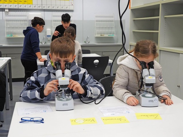 Im Chemieraum durften die Viertklssler selbst mikroskopieren.  | Foto: Herbert Frey