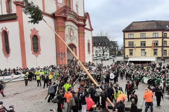 Fotos: Narrenbaumstellen am Wldertag in Bad Sckingen