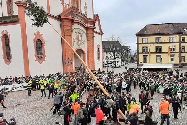 Narrenbaumstellen am Wldertag in Bad Sckingen