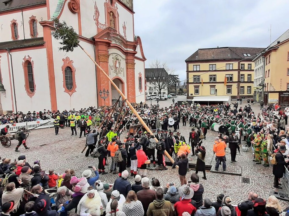 Der Hhepunkt des Tages: Kurz nach 15 Uhr stellen die Wlder den Narrenbaum auf dem Mnsterplatz in Bad Sckingen.