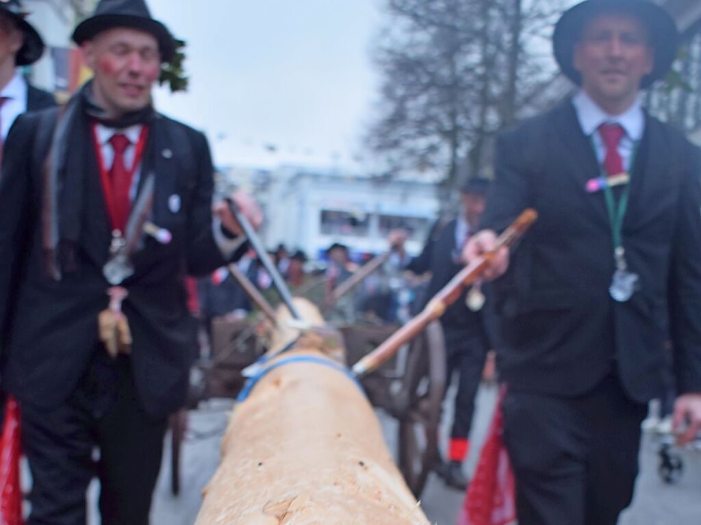 Der Narrenbaum auf dem Weg zum Mnsterplatz