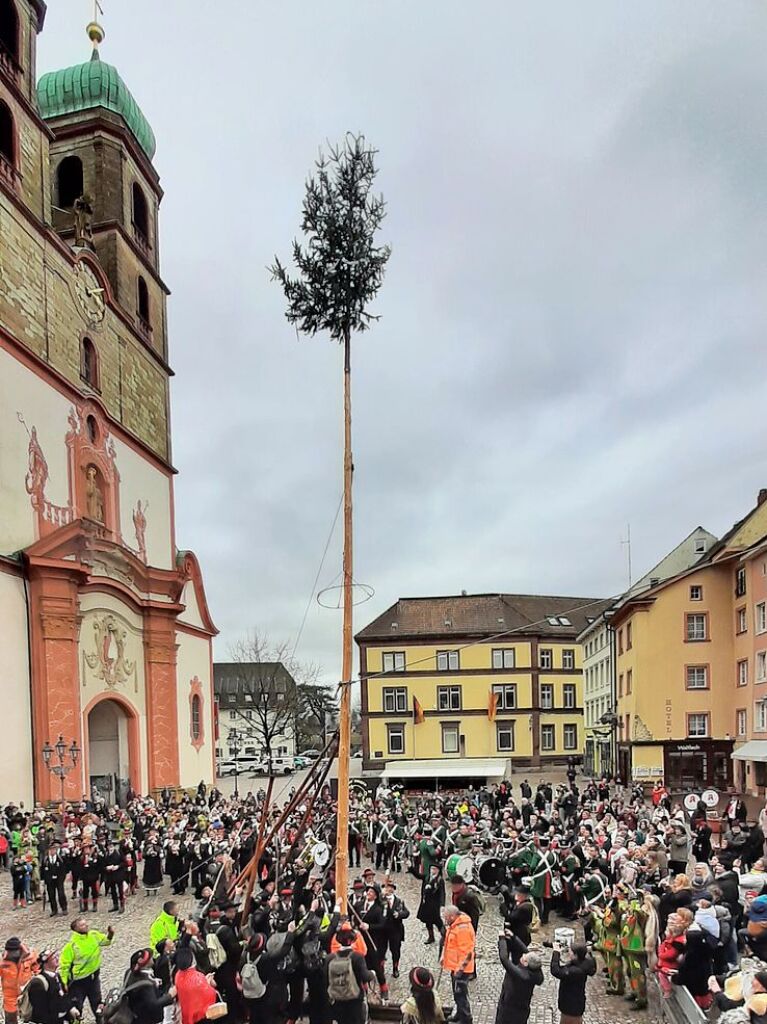 Dann ist es vollbracht: Der Baum steht.