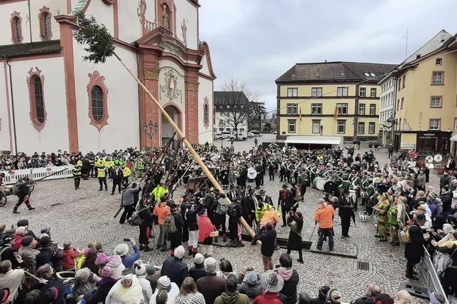 Die Wlder in Bad Sckingen trotzen am Ersten Faien dem Regen