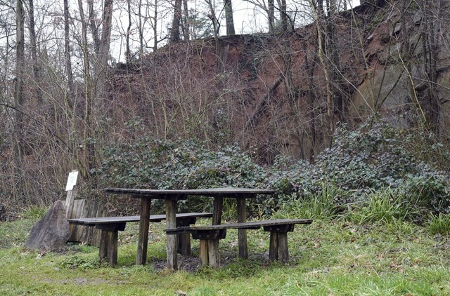 Bume mssen beim Waldparkplatz am Altvater gefllt werden.  | Foto: Stadt Lahr