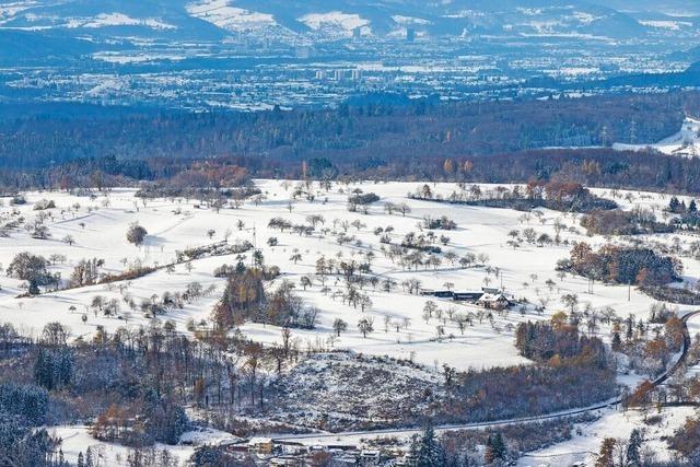 Flickenteppich auf dem Dinkelberg in Wehr soll bald Geschichte sein