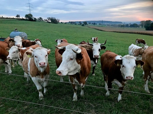 Landwirte stehen heutzutage vor vielen...wurde beim Landesbauerntag gesprochen.  | Foto: Jutta Schtz