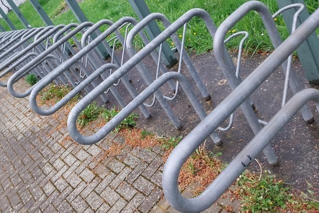 Das Gymnasium Kenzingen erhlt 300 neue Fahrradstellpltze