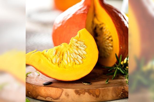 Vegan-vegetarisch: Krbiszeit mit Ronja - Tageskreuzfahrten 2025 - Mlmscher Herbst