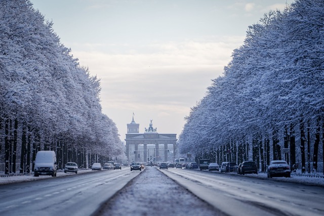 Verschneite B&auml;ume glitzerten im Tiergarten.  | Foto: Kay Nietfeld/dpa