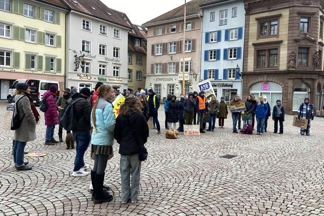 Der Klimastreik von Fridays for Future in Bad Sckingen zieht 70 Demonstrierende an