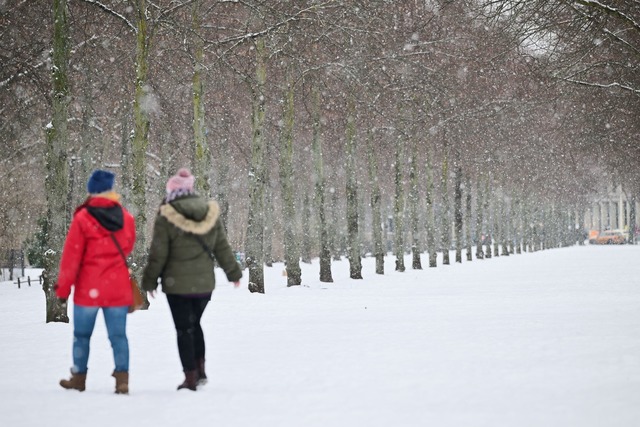 Gebetsweise f&auml;llt immer wieder Schnee.  | Foto: Sebastian Christoph Gollnow/dpa