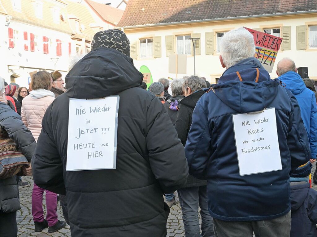 350 Teilnehmer kamen am Samstagnachmittag zur Protestveranstaltung gegen den Rechtsruck auf den kleinen Emmendinger Marktplatz.