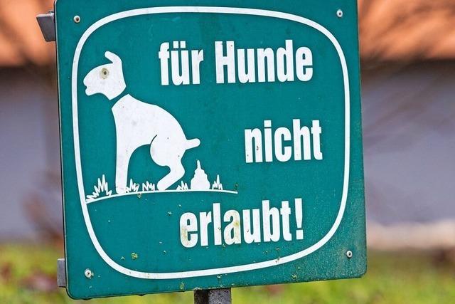 Gaaar niicht! Von Hunden, Hausrzten und benutztem Klopapier