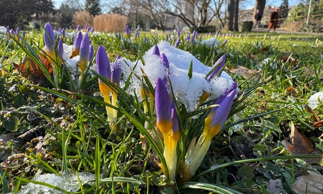 Mit den n&auml;chsten Sonnenstrahlen w...W&uuml;rttemberg steigen. (Symbolbild)  | Foto: Valentin Gensch/dpa